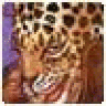 Dannycag